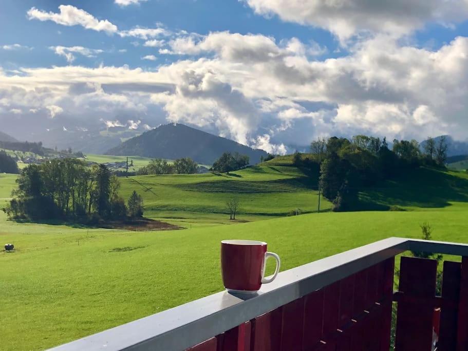 Panoramablick Apartment Stiefenhofen Екстериор снимка